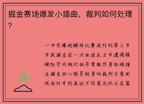 掘金赛场爆发小插曲，裁判如何处理？